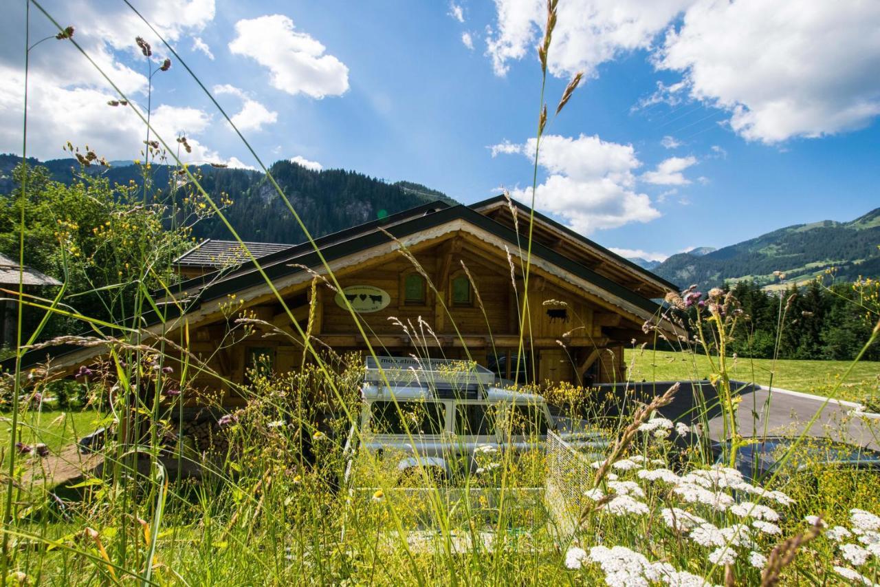 Chalet Carnauba Châtel Exteriér fotografie